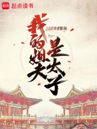 我的姐夫是太子封面